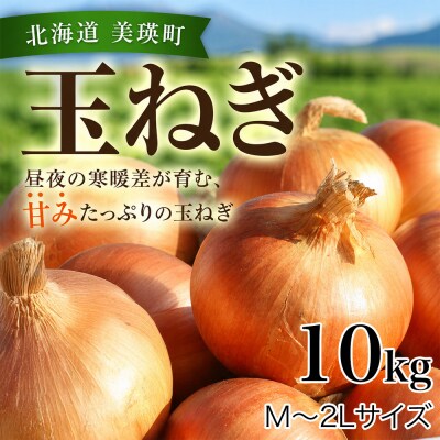 【先行予約】北海道 玉ねぎ 10kg <令和8年産 > おおとり 美瑛町