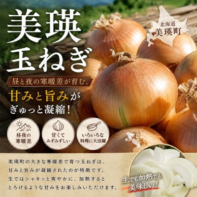 【先行予約】北海道 玉ねぎ 10kg <令和8年産 > おおとり 美瑛町