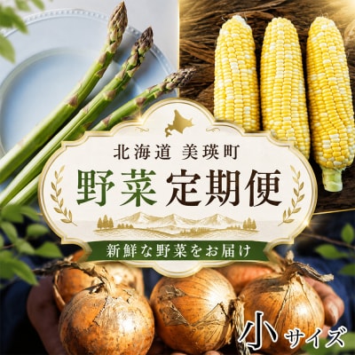 【発送月固定定期便】令和9年産 本山農場の野菜定期便 3回便(小)
