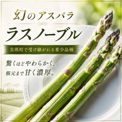 【発送月固定定期便】令和9年産 本山農場の野菜定期便 3回便(小)