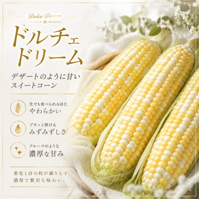 【発送月固定定期便】令和9年産 本山農場の野菜定期便 3回便(小)