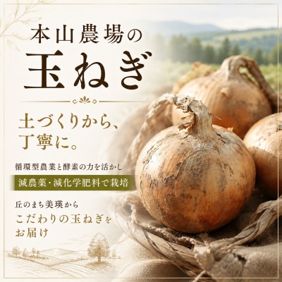 【発送月固定定期便】令和9年産 本山農場の野菜定期便 3回便(小)