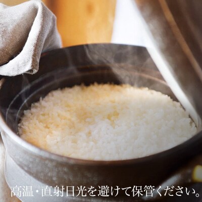 ななつぼし 米 定期便 5kg × 隔月6回便 <令和8年産 > 一等米のみを使用 城守商店