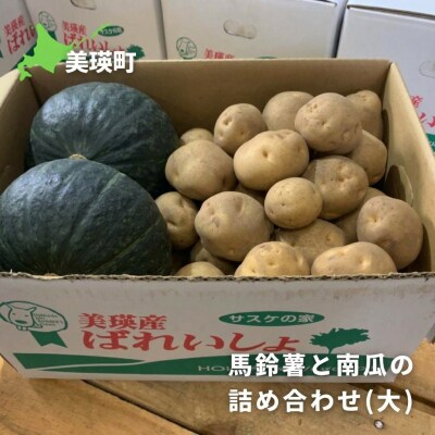 【令和9年産 先行予約】じゃがいも かぼちゃ 10kg 詰め合わせ セット 野菜セット サスケの家