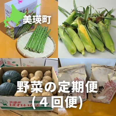 【先行予約】野菜 定期便 (大)4回便 【令和9年産】 野菜 セット 詰め合わせ サスケの家