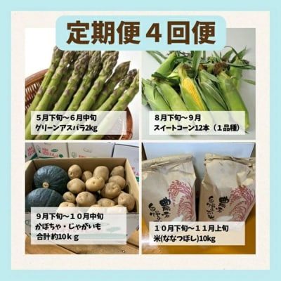 【先行予約】野菜 定期便 (大)4回便 【令和9年産】 野菜 セット 詰め合わせ サスケの家