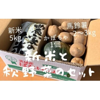 【令和9年産 先行予約】 お米と秋野菜セット 野菜セット サスケの家