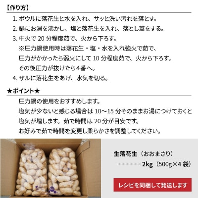 生落花生 おおまさり 2kg とれたて 耕地の美味しい野菜シリーズ第1弾 H132-028
