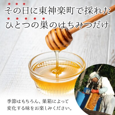 【定期便・頒布会】3ヵ月連続お届け!東神楽産採れたまんまの純粋はちみつ 240g