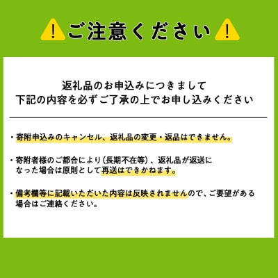 令和7年産新米≪先行受付≫【定期便】ななつぼし 2kg×2袋 《普通精米》全3回