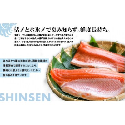 【期間限定発送】海峡サーモン　お刺身・切身Cセット(4種7点)