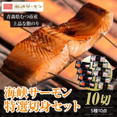 【期間限定発送】海峡サーモン 特選切身セット10切 (5種10点)