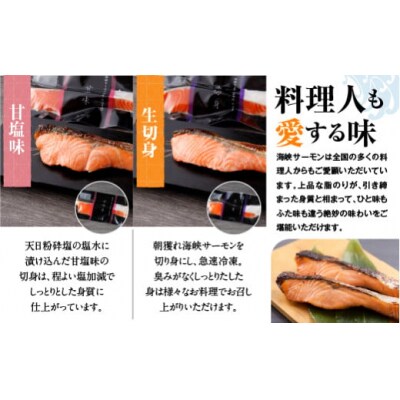 【2025年5月中旬発送】海峡サーモン 特選切身セット10切 (5種10点)