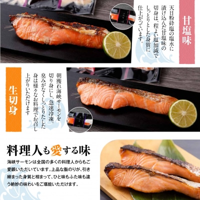 【期間限定発送】海峡サーモン 特選切身セット10切 (5種10点)
