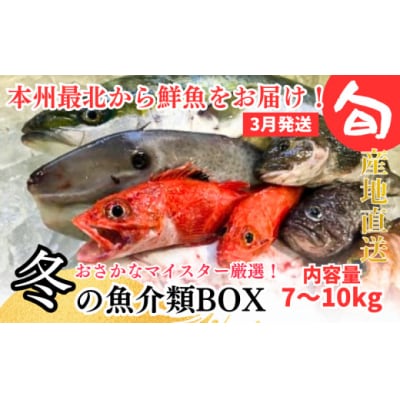 【3月発送開始】おさかなマイスター厳選　冬の魚介類BOX　(M)