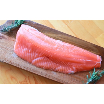 渓流サーモン　お刺身フィーレ　1kg
