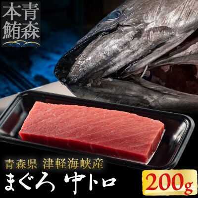 【引き締まった旨味】津軽海峡産まぐろ(中トロ200g)