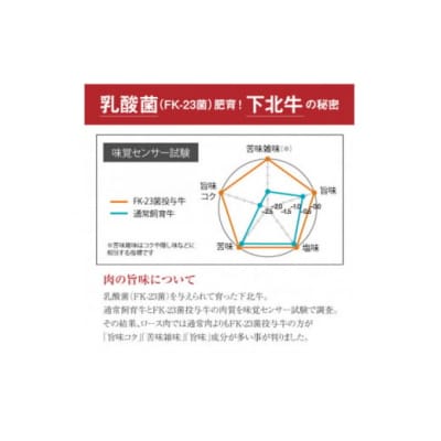 下北牛　ラムシン(ランプ)　ステーキ　約300g　むつ市
