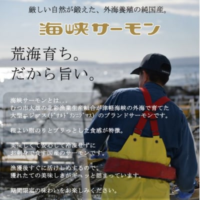 海峡サーモン(常温)だし入り茶漬け&まぜごはんの素 6個セット