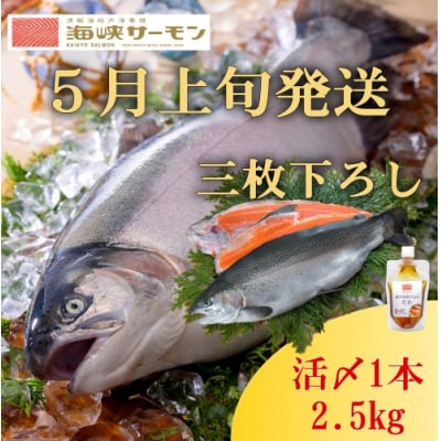 【発送月固定定期便】海峡サーモン堪能セット全3回