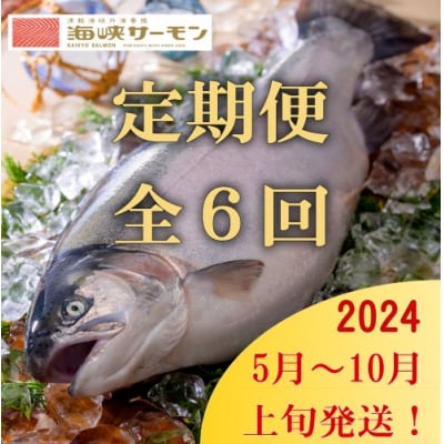 【発送月固定定期便】海峡サーモン堪能セット全6回