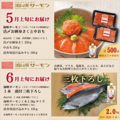 【発送月固定定期便】海峡サーモン堪能セット全6回