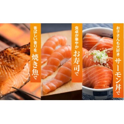 【2025年6月上旬発送】活〆海峡サーモン　お刺身さくと生切身A(冷蔵)　特製漬タレ付