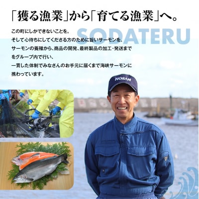 【期間限定発送】極 活〆海峡サーモン5.0kg以上(冷蔵)