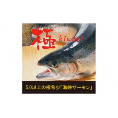 【2025年7月上旬発送】極 活〆海峡サーモン5.0kg以上(冷蔵)