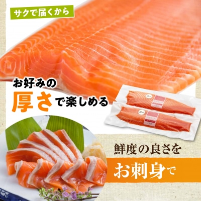 【2025年8月上旬発送】海峡サーモン　活〆お刺身さく2本 800g