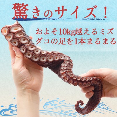 津軽海峡産ボイルミズダコ足　1.2kg