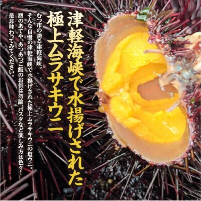 濃厚な旨味　津軽海峡産　無添加　極上塩うに