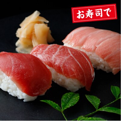 産地直送!津軽海峡　大畑産　厳選本マグロ刺身用サク(大トロ・中トロ・赤身)食べ比べセット