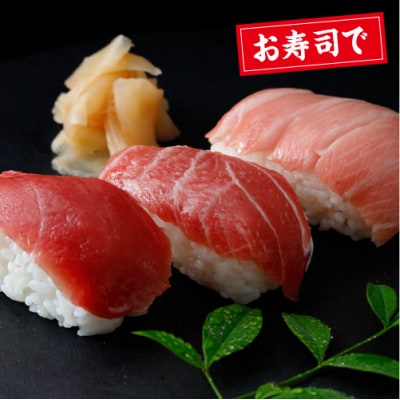 津軽海峡大間産　極上本マグロ　刺身用サク中トロ
