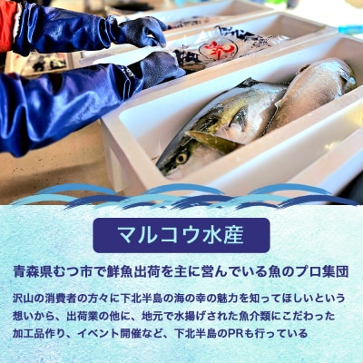 津軽海峡　大間産　極上本マグロ　刺身用サク　(大トロ・中トロ・赤身)食べ比べセット