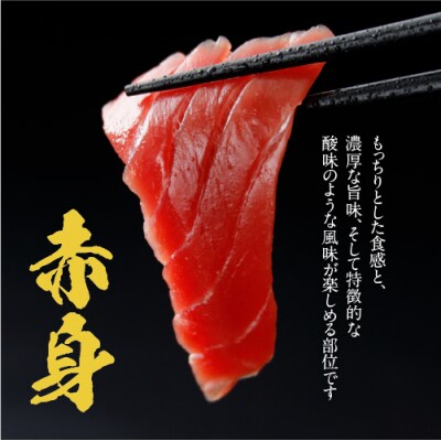 津軽海峡　大間産　極上本マグロ　刺身用サク　赤身