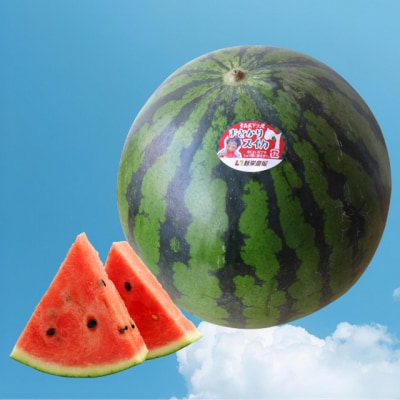 スイカ1玉7～9kg(2Lサイズ以上)