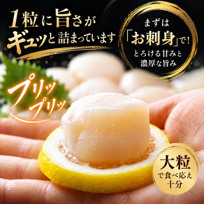 陸奥湾産ほたて貝柱　玉冷500g　刺身用　サイズ不揃い　訳あり