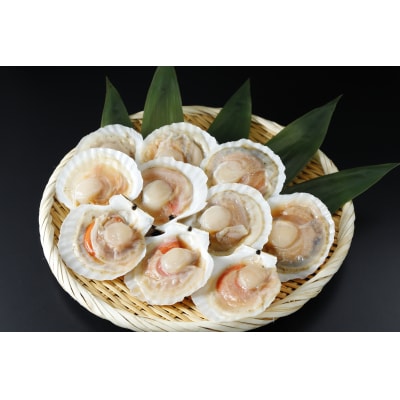 陸奥湾産冷凍ほたて片貝　10枚入り