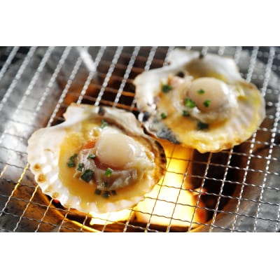 陸奥湾産冷凍ほたて片貝　10枚入り