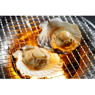 陸奥湾産冷凍ほたて片貝　10枚入り×2