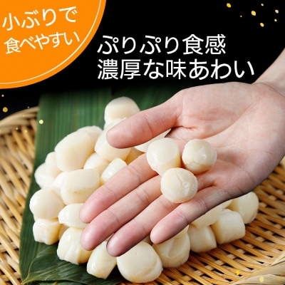 陸奥湾産冷凍ボイルほたて貝柱　500g