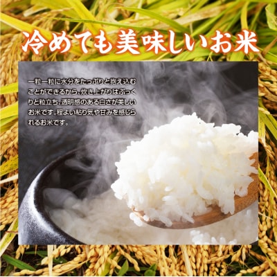 青森県産米　5kg