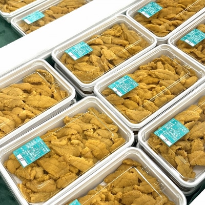 津軽海峡産　生うに　パック　100g×2　キタムラサキウニ　大畑漁協　