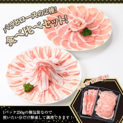鹿児島県産豚スライス2種(各250g×4P)