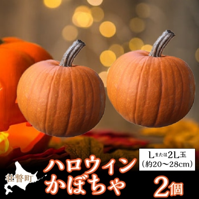＜2027年10月初旬よりお届け＞ハロウィンかぼちゃ Lまたは2L玉2個  SBTL015