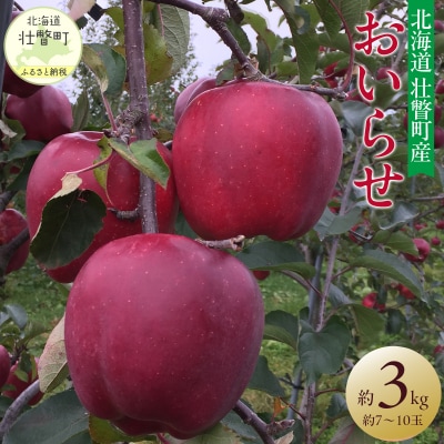 <2026年11月初旬よりお届け> 壮瞥町産りんご 「おいらせ」7～10玉約3kg SBTF005
