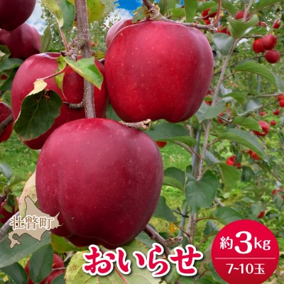 <2026年11月初旬よりお届け> 壮瞥町産りんご 「おいらせ」7～10玉約3kg SBTF005