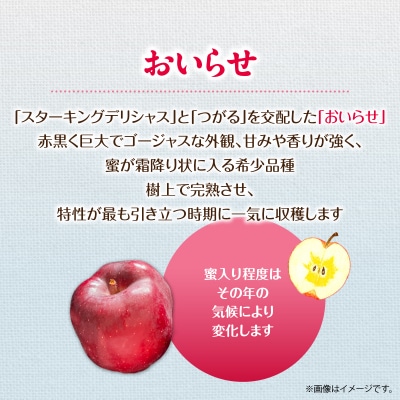 <2026年11月初旬よりお届け> 壮瞥町産りんご 「おいらせ」7～10玉約3kg SBTF005
