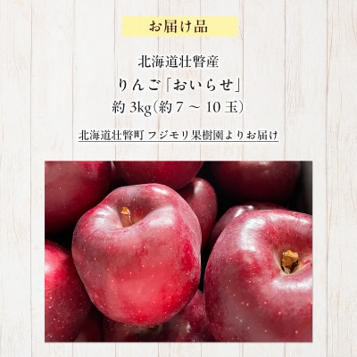 <2025年11月初旬よりお届け> 壮瞥町産りんご 「おいらせ」約3kg SBTF005